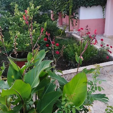 With Parking Space Kraj, Pasman - 819 Ткон