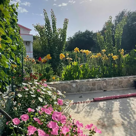 With Parking Space Kraj, Pasman - 819 Апартаменты Ткон