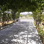 With Parking Space Kraj, Pasman - 819 公寓 *