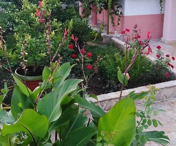 With Parking Space Kraj, Pasman - 819 Tkon