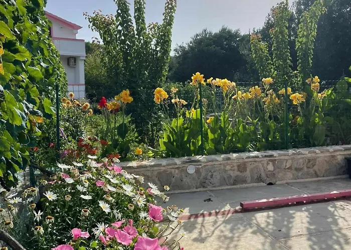 With Parking Space Kraj, Pasman - 819 Lägenhet Tkon